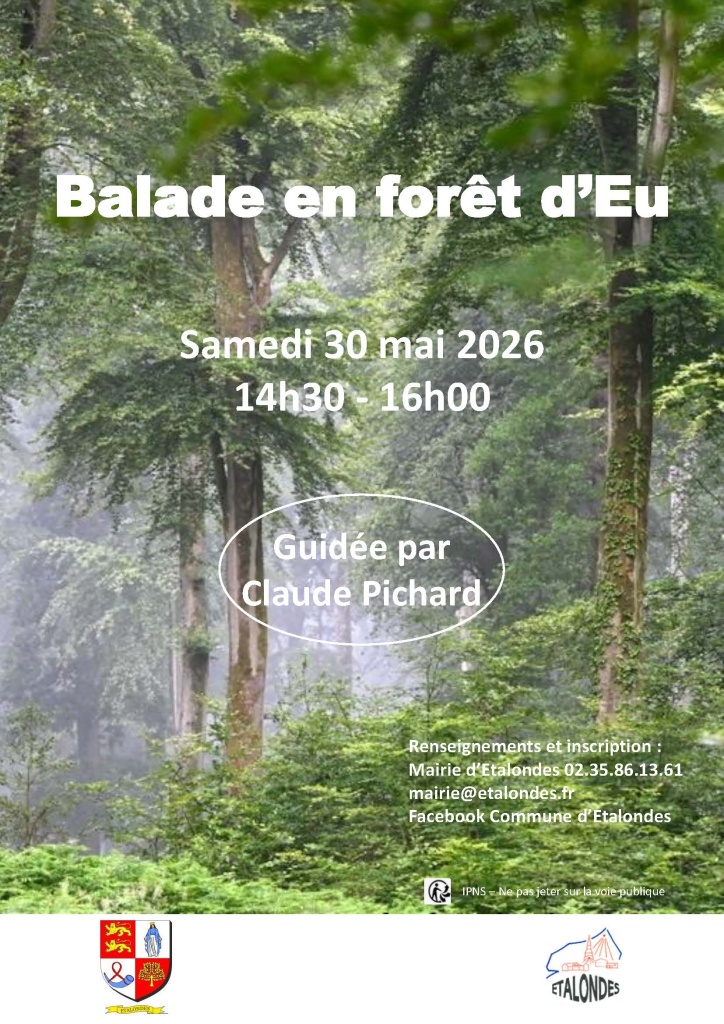Balade en forêt